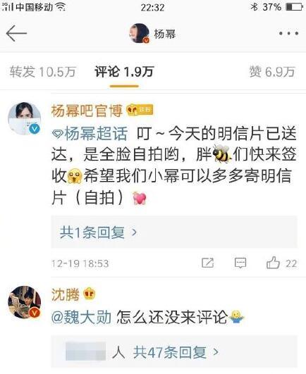娱乐吃瓜点评怎么写,揭秘明星幕后故事